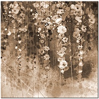 Version: sepia