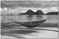 Version: noir-et-blanc