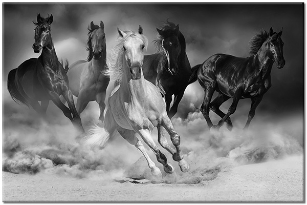 tableau sur toile, animaux, beige, blanc, bleu, chevaux, gris, marron, noir, orange, sable, violet