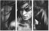 Tableau  3 panneaux