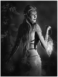 Version: noir-et-blanc