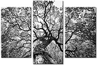 Tableau  3 panneaux