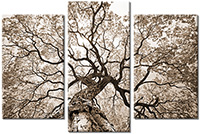 Tableau  3 panneaux