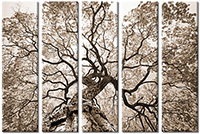 Tableau  5 panneaux