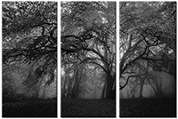 Tableau  3 panneaux