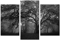 Tableau  3 panneaux