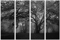Tableau  4 panneaux