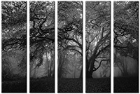Tableau  5 panneaux