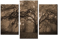 Tableau  3 panneaux