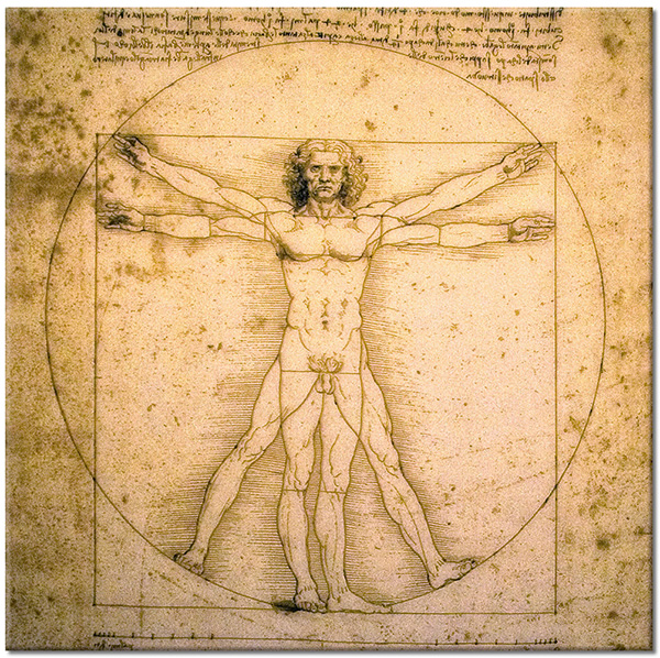 tableau sur toile, beige, divers, leonardo-da-vinci, papyrus, sepia, vintage