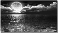 Version: noir-et-blanc