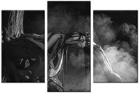 Tableau  3 panneaux