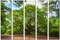 Tableau  5 panneaux