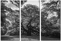 Tableau  3 panneaux