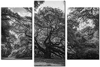 Tableau  3 panneaux