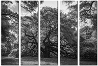 Tableau  5 panneaux