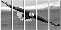 Tableau  5 panneaux