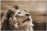Version: sepia
