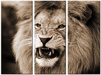 Tableau  3 panneaux