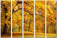 Tableau  5 panneaux