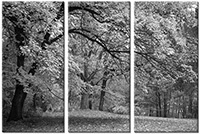 Tableau  3 panneaux