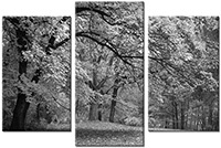 Tableau  3 panneaux