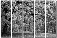 Tableau  5 panneaux