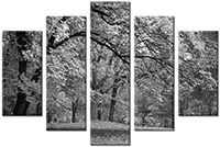 Tableau  5 panneaux