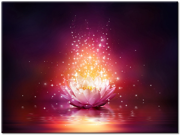 tableau sur toile, abstrait-fantaisie, blanc, fleurs, lotus, noir, orange, violet