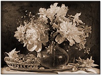Version: sepia