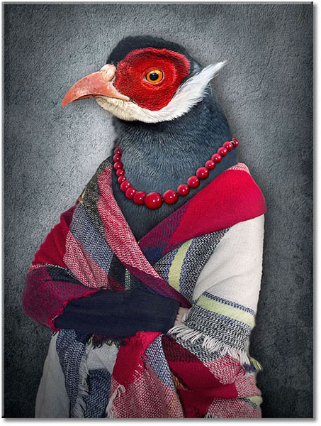 tableau sur toile, abstrait-fantaisie, animaux, art, art-contemporain, bijoux, blanc, drole, gris, oiseaux, oiseaux-poissons-insectes, orange, rouge