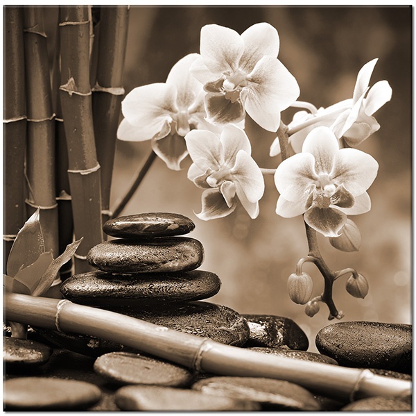 tableau sur toile, bambou, feng-shui-zen, fleurs, gris, noir, orchidees, pierres, rouge, vert, violet