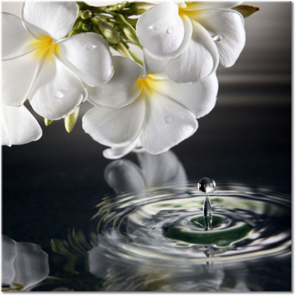 tableau sur toile, blanc, eau, feng-shui-zen, fleurs, gris, jaune, miroir, noir, noir-et-blanc, orchidees