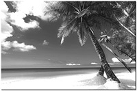 Version: noir-et-blanc