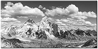 Version: noir-et-blanc