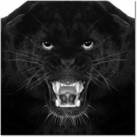 Version: noir-et-blanc