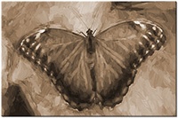 Version: sepia