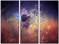 Tableau  3 panneaux