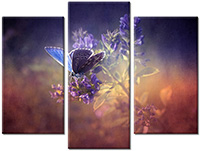 Tableau  3 panneaux