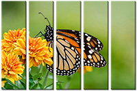 Tableau  5 panneaux