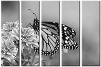 Tableau  5 panneaux