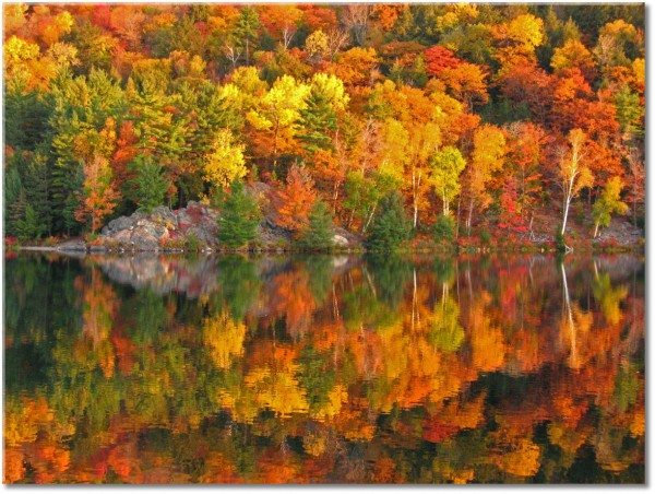 tableau sur toile, forets, mer-cascades-lacs, orange, paysages, vert