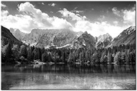 Version: noir-et-blanc