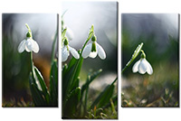 Tableau  3 panneaux