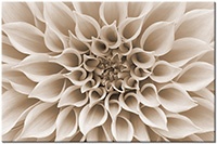 Version: sepia