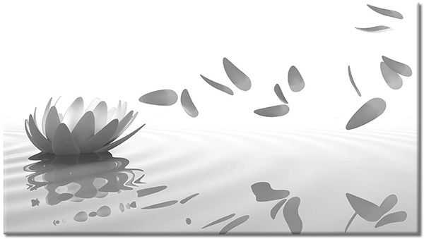 tableau sur toile, abstrait-fantaisie, blanc, fleurs, gris, lotus, petales