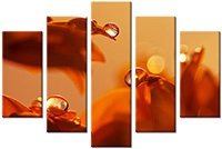 Tableau  5 panneaux
