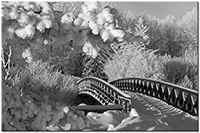 Version: noir-et-blanc