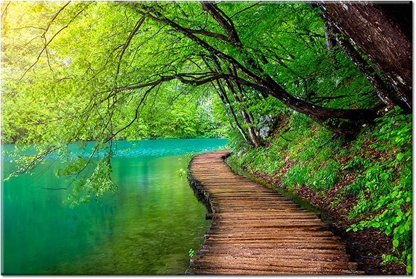 tableau sur toile, cyan, forets, marron, paysages, vert