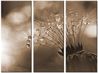 Tableau  3 panneaux